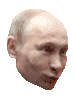 Putin Likey :putin